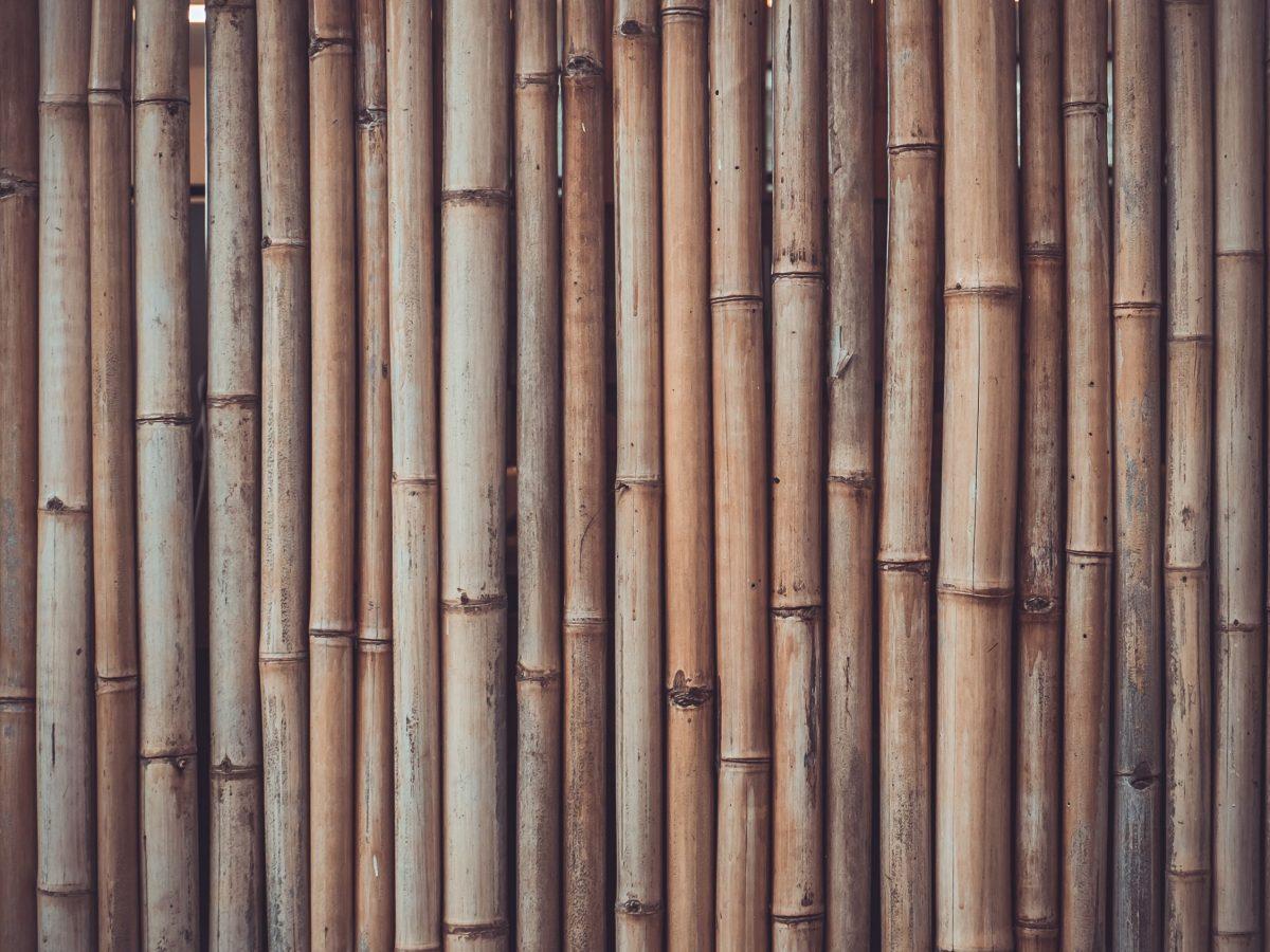 A World Built In A Grove: A Series On Bamboo Interventions — III