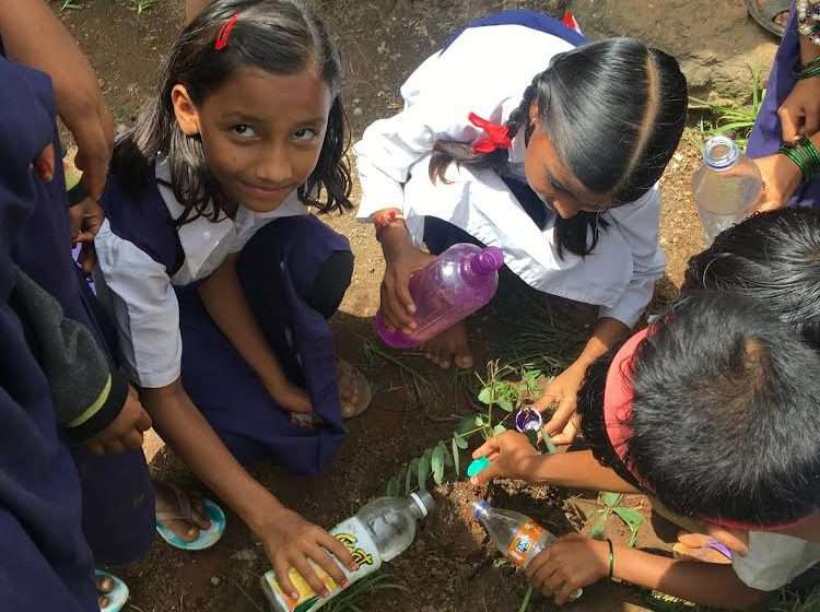 Plant A Caretaker Portfolio